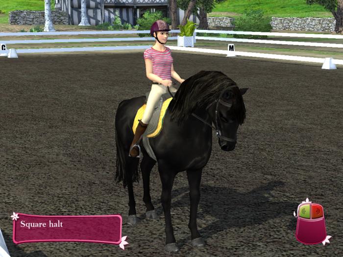 horse life 2 game